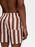 Selected PRINT BADESHORTS, Burnt Henna, highres - 16089427_BurntHenna_1091671_008.jpg