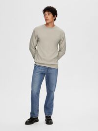VISCOSE BLEND SWEATSHIRT, Pure Cashmere, highres