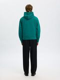 Selected 100% COTTON HOODIE, Bayou, highres - 16100000_Bayou_004.jpg