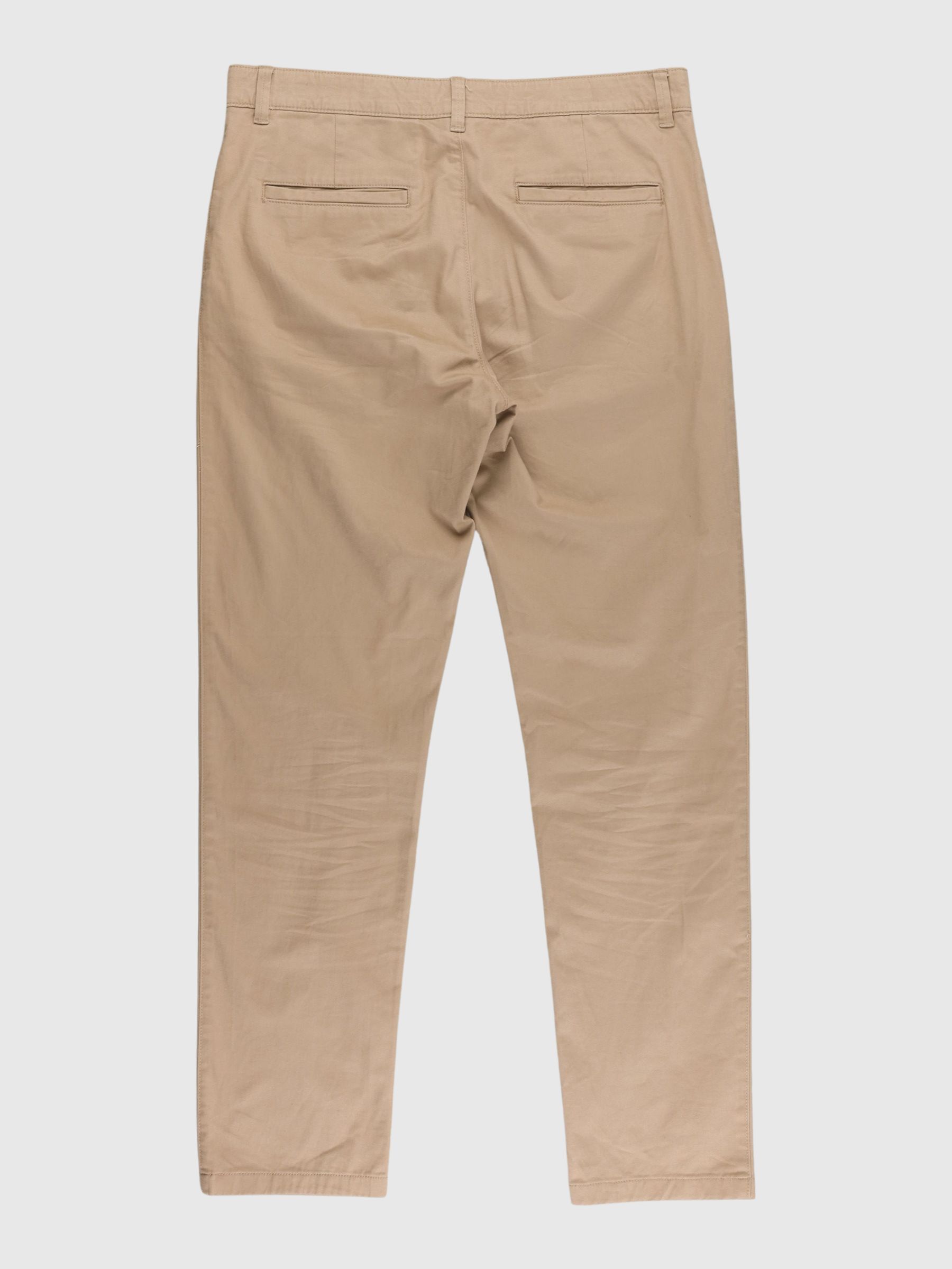 CHINOS, Chinchilla, highres
