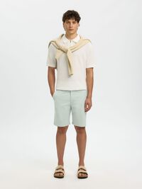 SLIM-FIT CHINOSHORTS, Aqua Gray, highres