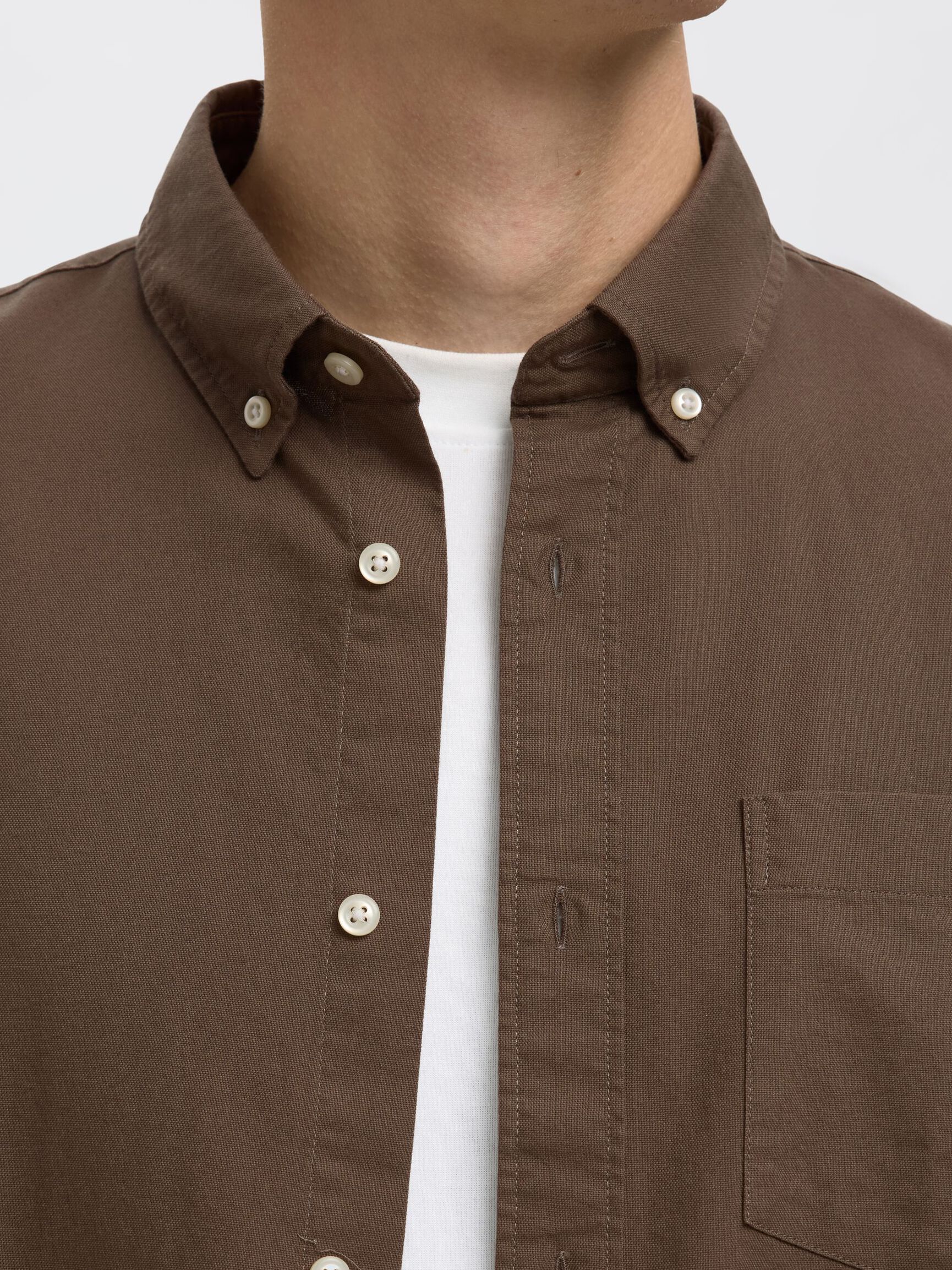 OXFORD SHIRT, Morel, highres