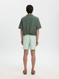 KLASSISCHE BADESHORTS, Aqua Gray, highres