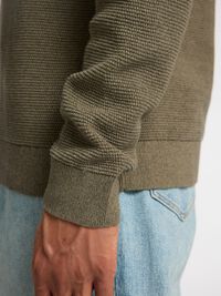 100% KATOEN PULLOVER MET RONDE HALS, Vetiver, highres