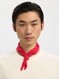 PRINTED SCARF, Poinsettia, highres