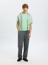 REGULAR T-SHIRT, Hemlock, highres
