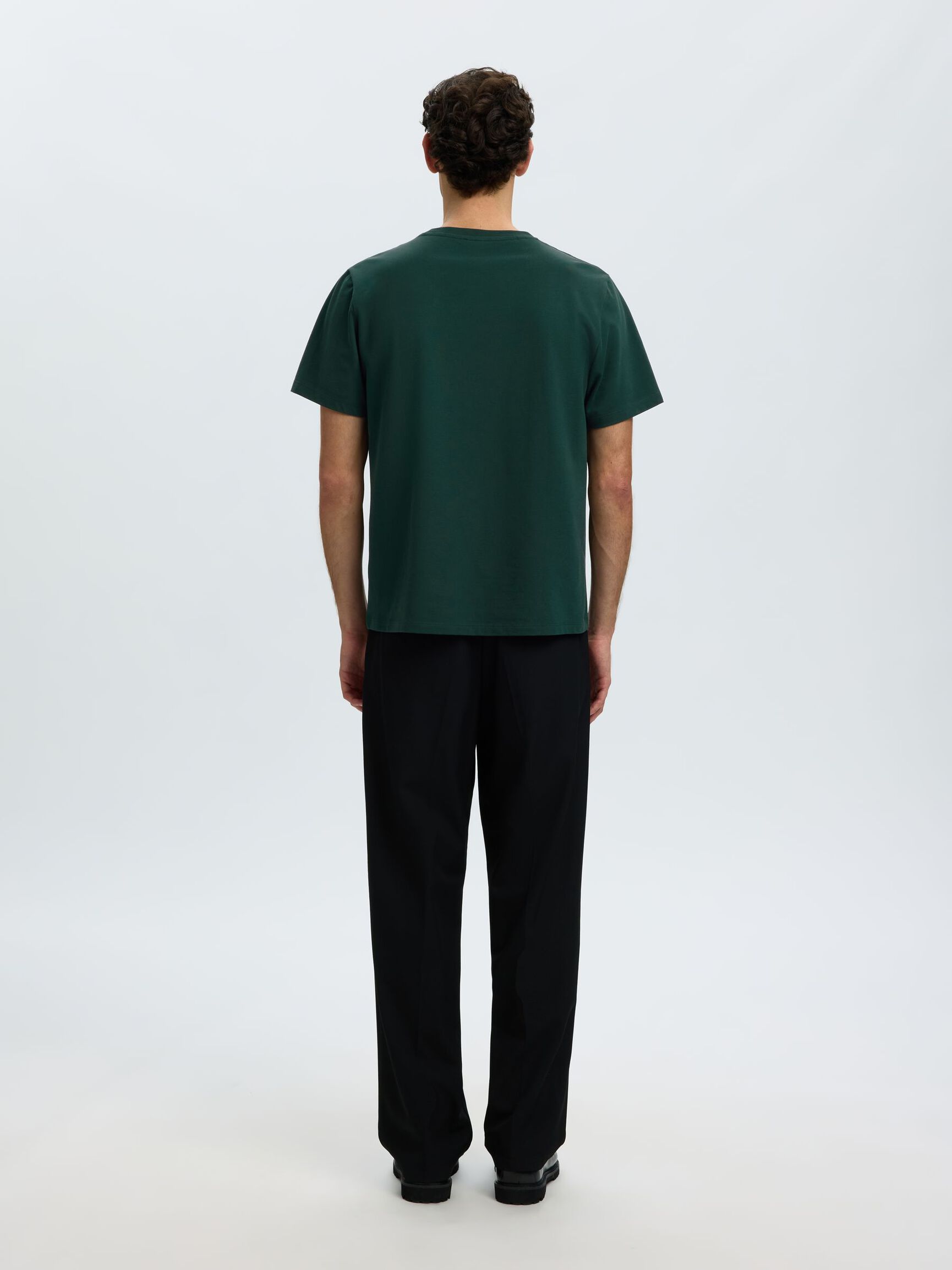 COTTON REGULAR FIT T-SHIRT, Pine Grove, highres
