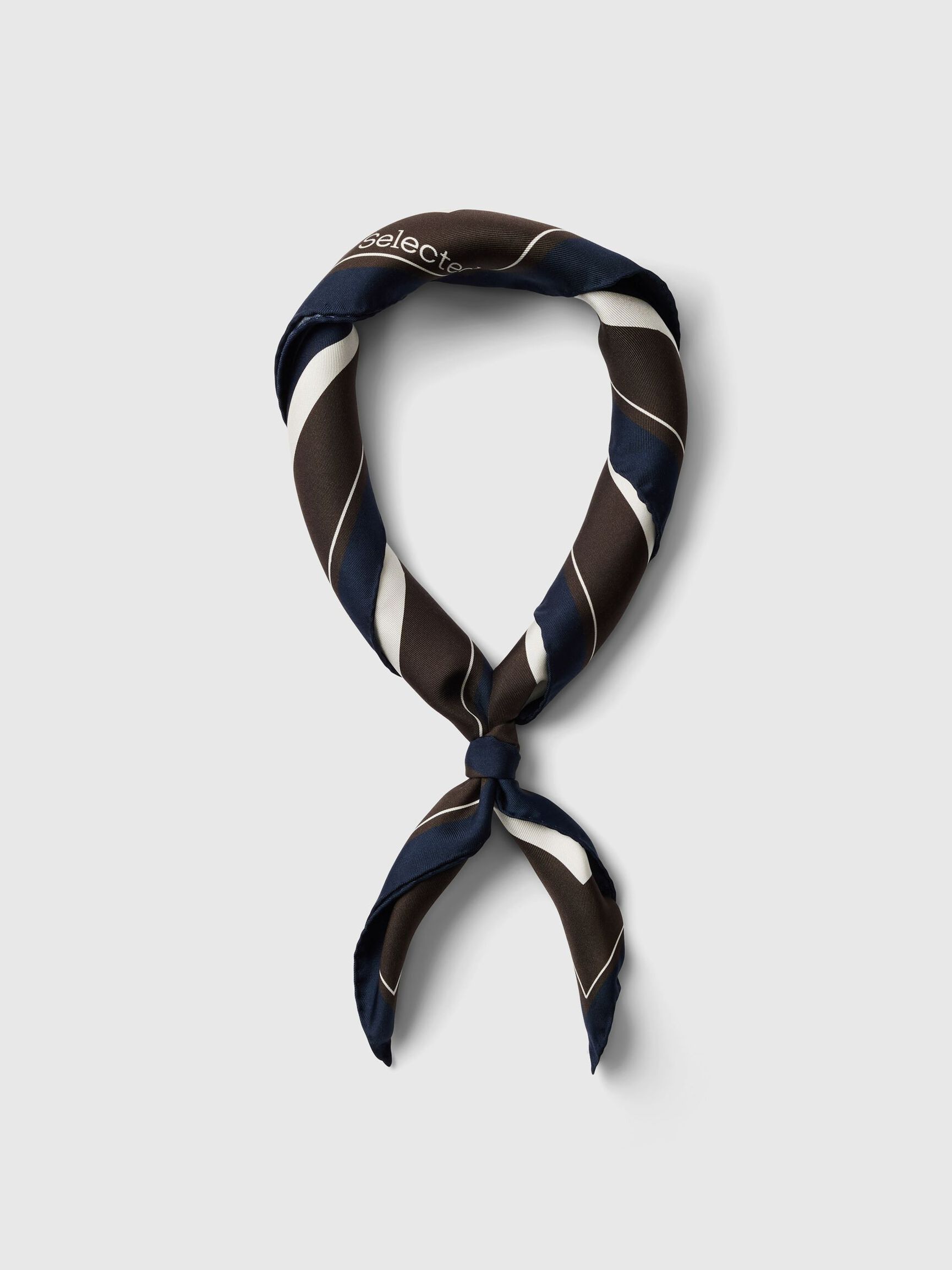 100% SILK SCARF, Delicioso, highres