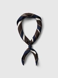 100% SILK SCARF, Delicioso, highres