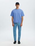 Selected T-PAITA, Blue Bonnet, highres - 16094143_BlueBonnet_005.jpg