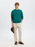 Selected 100% COTTON SWEATSHIRT, Bayou, highres - 16099829_Bayou_008.jpg