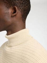 STRUCTURED TURTLENECK, Oatmeal, highres