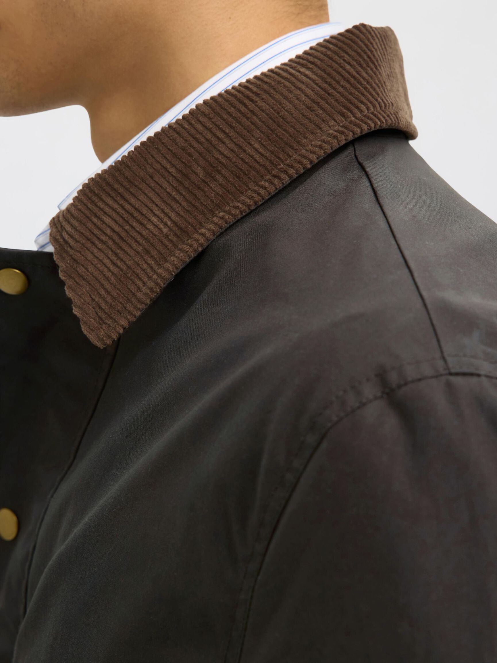 WAXED COTTON JACKET, Delicioso, highres
