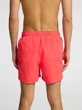 Selected KLASSIEKE ZWEMSHORTS, Hibiscus, highres - 16089428_Hibiscus_008.jpg