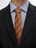 Selected STRIPED TIE, Wood Thrush, highres - 16094680_WoodThrush_004.jpg