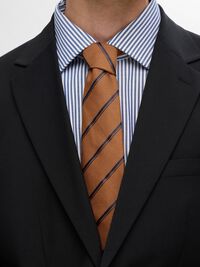 STRIPED TIE, Wood Thrush, highres