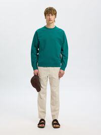 100% COTTON SWEATSHIRT, Bayou, highres